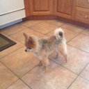 Mike Beers - @MikeBeers44 - Twitter