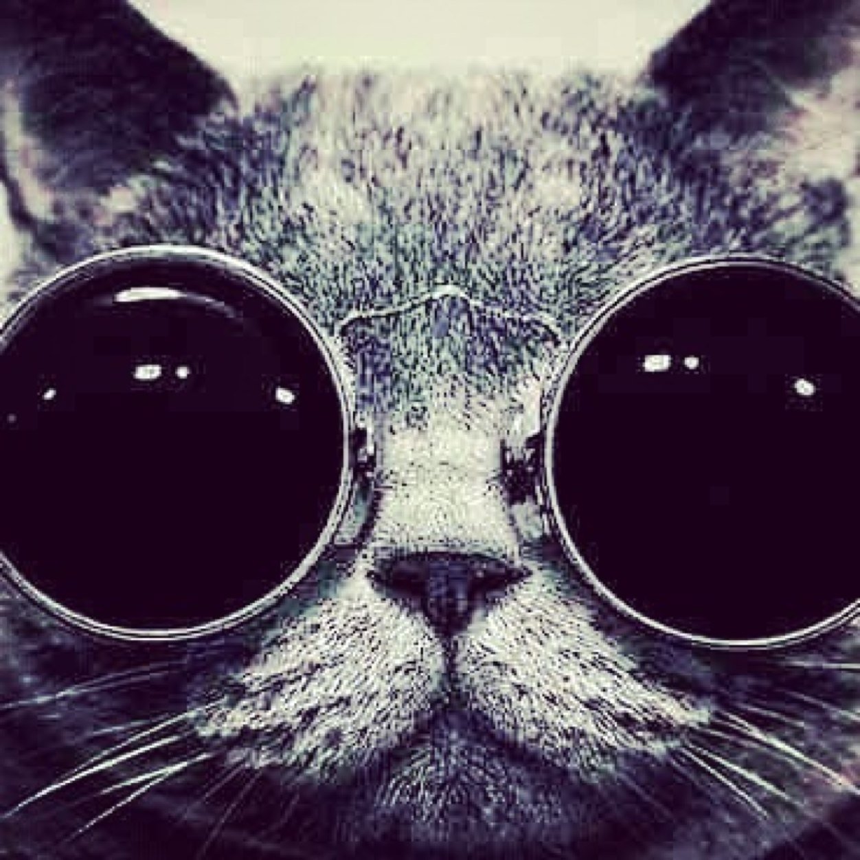 FactLuzi's profile picture. 