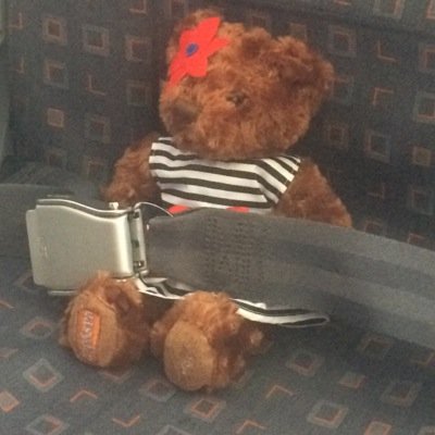 MrsEasybear's profile picture. 