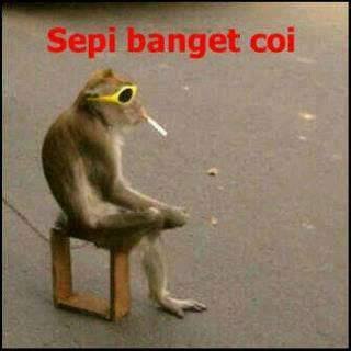 Ane follow ente, ente jg follow ane ♣•ΘKЄ•(y)♣