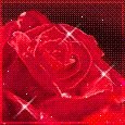 ‏‏غرررد ياشبل اﻻيمااان غرد واصدح بالقرااااااءن