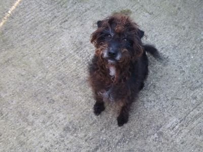 trifictrev812's profile picture. Engineering coordinator @ Mizkan Europe.