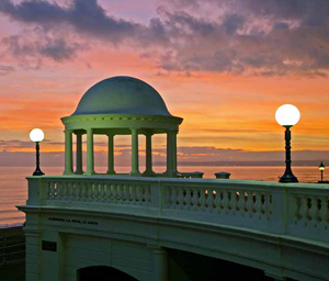 Bexhill-on-Sea's leading tourist guide since 2004.