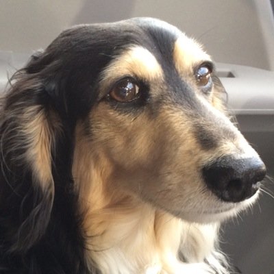 mukku_163's profile picture. Mayちゃんの歌声・笑顔が大好きです☆MayJ./MayJ. Band /Dancers / DJ Celly ☆Team May J.が大好き！☆ハジ→☆山猿☆Ms.OOJA☆C&K☆ファンキー加藤☆ソナポケ☆ベル☆TDRも大好きです(^^)