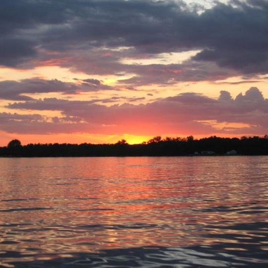 dharrington152's profile picture. 