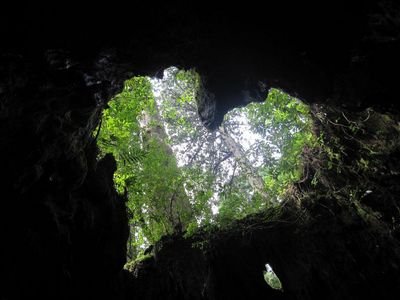 starlight_kuu's profile picture. 