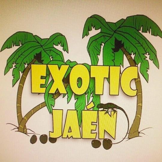 exoticjaen's profile picture. Exotic Jaén. Venta y asesoramiento de animales exóticos. Jaén.