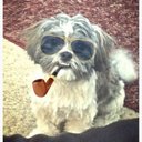 Molly Schmidt - @MollySchmidt01 - Twitter