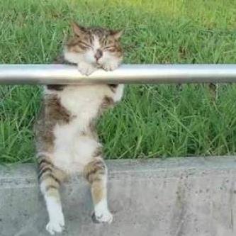 jinseiha_tekito's profile picture. 役に立つ情報、おもしろ情報をつぶやきます！
気に入ったらフォロー、リツイートお願いします！！