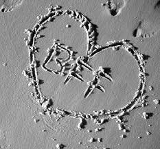 toda la vida es un camino , un camino con significado que es la amistad