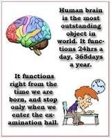 Nyangzz's profile picture. 