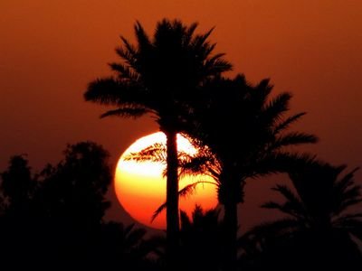 ‏‏‏‏أبحث عن زوجة ثانية غير موظفة محافظة ذات دين وخلق مطلقة أو أرملة العمر من25 الي 35 غير قبيليه  زواج شرعي معلن من الخرج أو الرياض. والله الموفق لكل خير