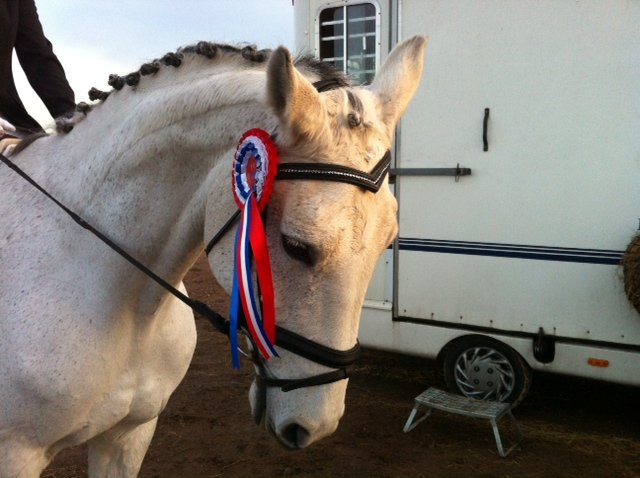 forever_laurah's profile picture. Independent Distributor of Forever Living Products