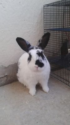 merliharkmann's profile picture. sweet dreams