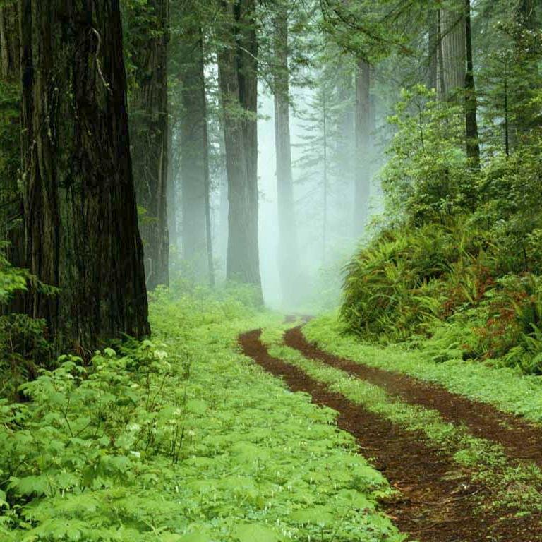 AnnalisaSecret's profile picture. i am a girl who loves to sing. i am a female who loves socializing.