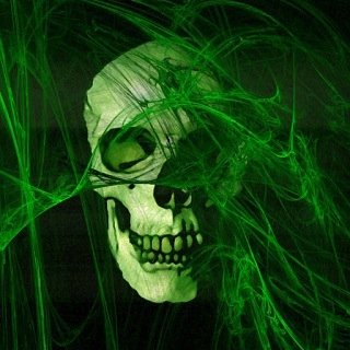 paabs76164585's profile picture. 