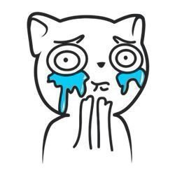 FeeIsmail's profile picture. Bring forward myself being a better person my carrer and my life's that it & that all