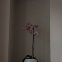 georgina lambert - @ginaaa141 - Twitter