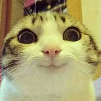 BMMC_G's profile picture. 