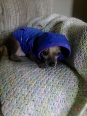 wille1057's profile picture. 