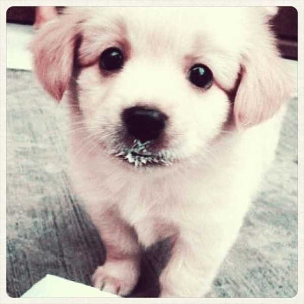 #Freefollows just ask and I'll follow you x