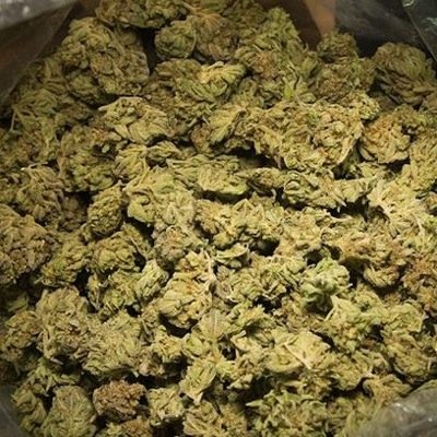 420~blaze