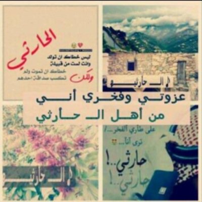هـل گـل حـارثـي عـلى مـايرام اردت الاطمئنان على عــزووووتي فقط