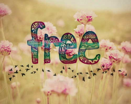 #FreeFollows just ask and I'll follow yoooou ☺