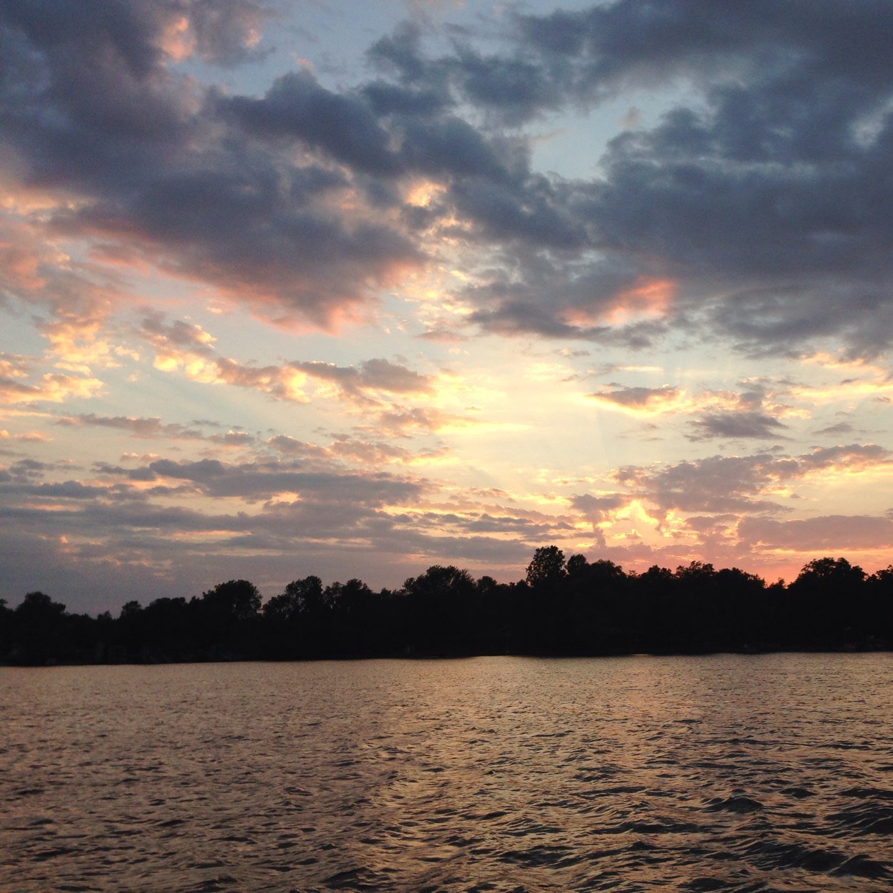 amynacion's profile picture. 