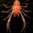 MunidaGregaria's profile image