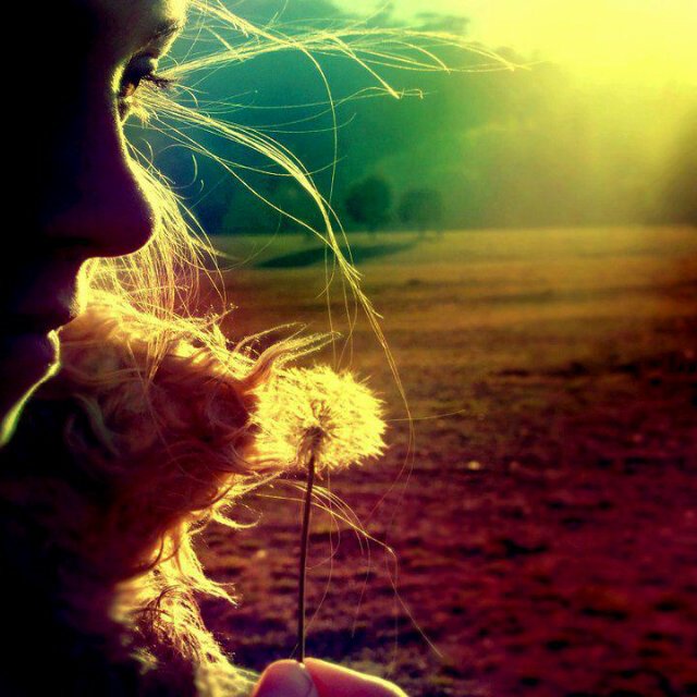 FreeFollows_ele Profile Picture