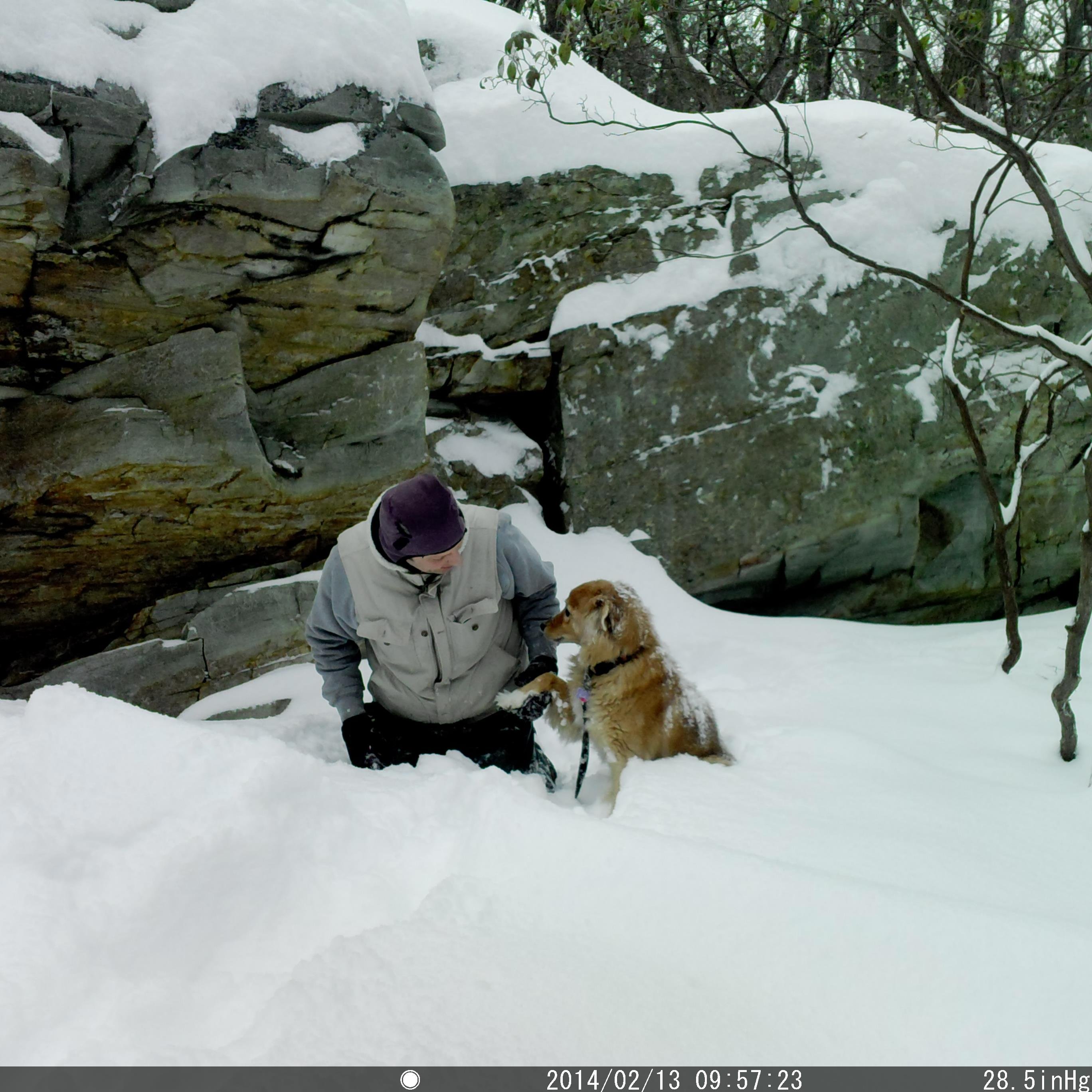 Pictures of local wildlife with my camera traps and of the local scenery in the mountains of Virginia.