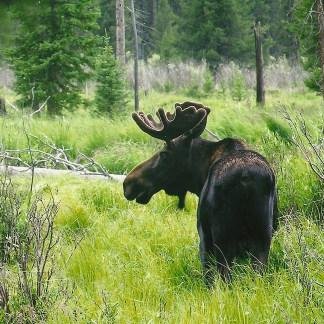 Escape to Colorado. #Colorado #Escapes #Getaways #Resorts #ThingsToDo #Events