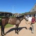 Vision Bloodstock (@visionhorses) Twitter profile photo Vision Bloodstock (@visionhorses) Twitter profile photo