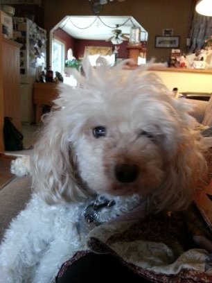 m_ballard's profile picture. 