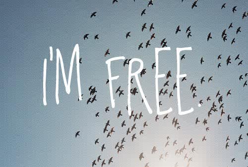#FreeFollowsRetweetsOrFavs just let me know! :)