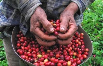 La Unión de Productores Agrícolas Xochiquetzal, lucha por el empoderamiento del sector rural y la soberanía alimentaria.