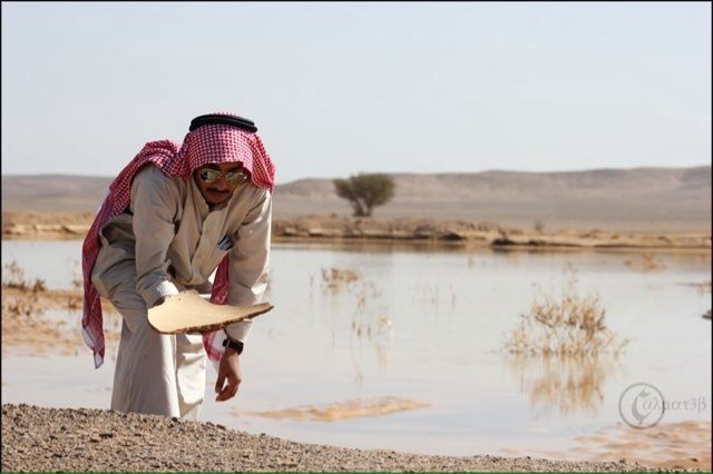 karim_1408's profile picture. 