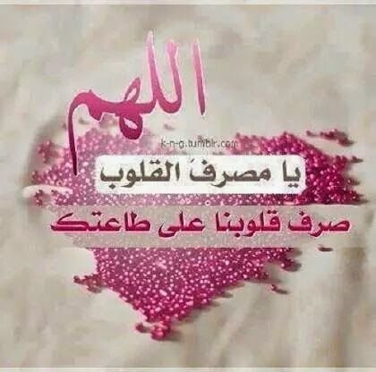 ابحث عن الحب الحقيقي