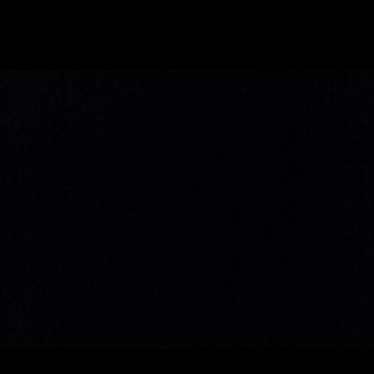 hanneke van Dongen 🇪🇺🇳🇱🇪🇺🇳🇱 Profile