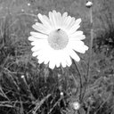 Tilly Dunn-Jackson - @chantelle11111 - Twitter