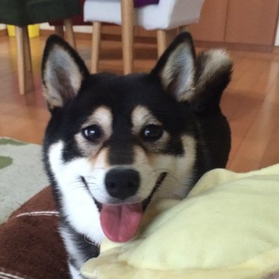 ★かんみ★