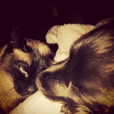 meganclapp's profile picture. 