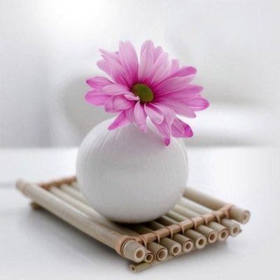 6_SecondsLover's profile picture. 基本的にvineの動画を紹介してます☆たまに別の動画も紹介するかも☆面白いなぁ〜ってちょっとでも思えたらRTお願いしますっ☆