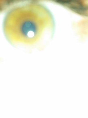 jackieheyyy's profile picture. 