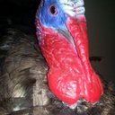 Owen Armstrong - @OwensMuscles - Twitter