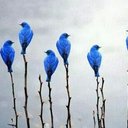 Paula Mande - @ParticleMande - Twitter