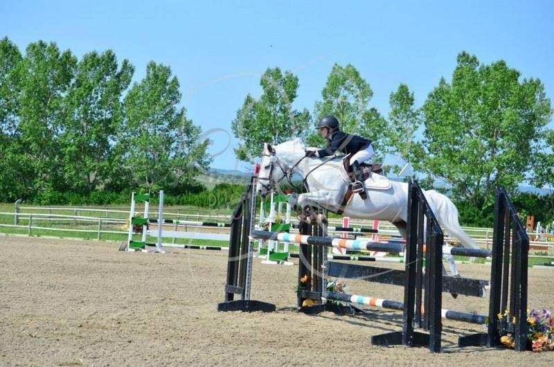 The weekly newsletter for avid equestrians about the world of show jumping.