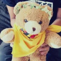 Dan's Bear (@dansteddy) 's Twitter Profile
