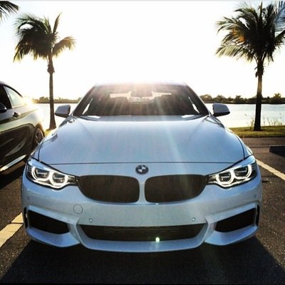 amarzimah's profile picture. 